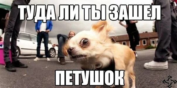 Мотоблок прикол. Я тебя заправлял. Мем недосыпающий. Я на нее заеду. Я на нее заеду.