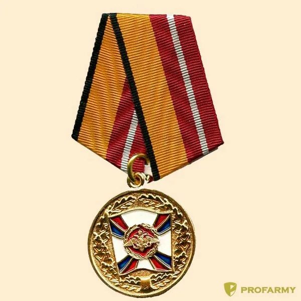 Доблесть второй степени. Медаль за воинскую доблесть 2 степени вс рф. медаль за воинскую доблесть 1 степени. планка медали за воинскую доблесть 1 степени. медаль воинской доблести второй степени.