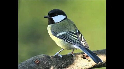 Колготки киген жас әйелдер бейнеленген порно видео
