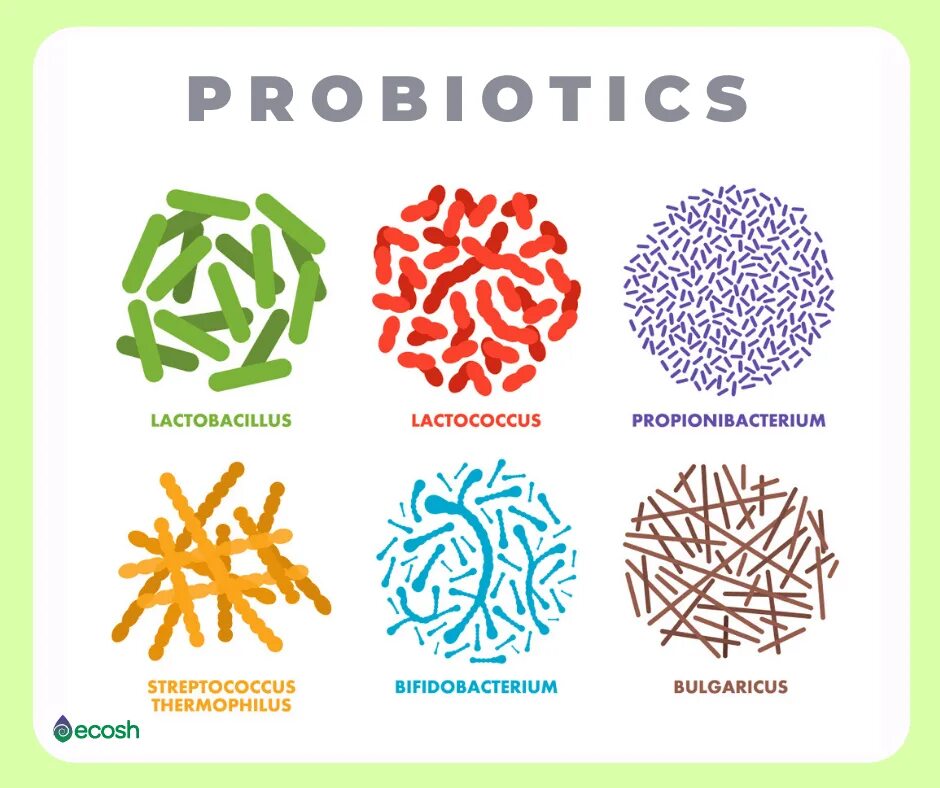 Mineral probiotic fractions