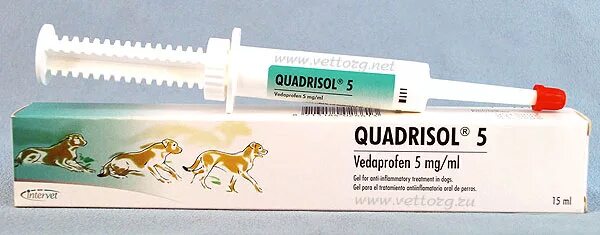 Квадрисол для собак. Квадрисол 5 для собак. Обезболивающий укол для собаки. Гель в шприце ветеринарный. Чем можно обезболить собаку