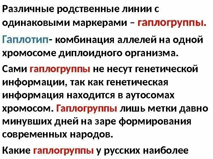 Биологический полимер несущий генетическую информацию