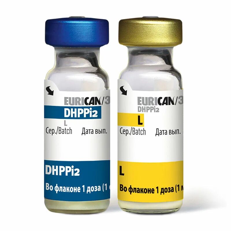Вакцина для прививки собак. Эурикан dhppi2 вакцина для собак. Эурикан для собак dhppi2. Eurican dhppi2 производитель. Вакцина Эурикан dhppi2-LR.