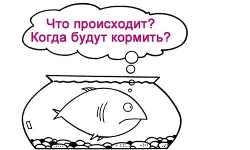 Стресс рыба