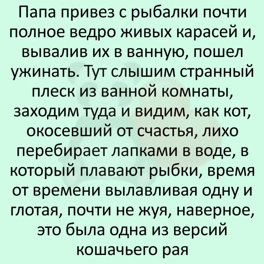 Прикольные истории из жизни до слез. Смешные истории. смешные рассказы из жизни. интересные рассказы из жизни. интересные смешные истории.