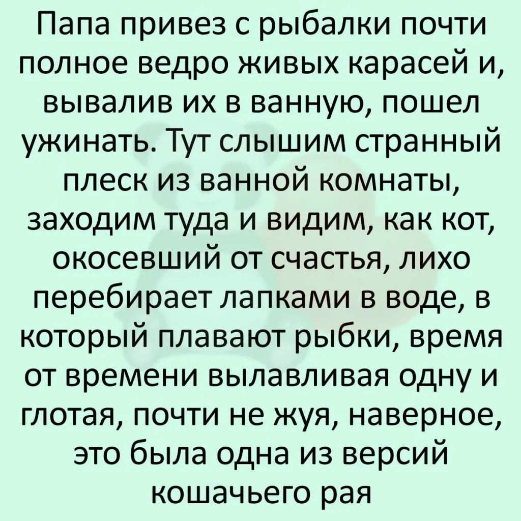 Интернет истории из жизни. Смешные истории. Смешные истории из жизни. Интересные рассказы из жизни. Смешные рассказы.