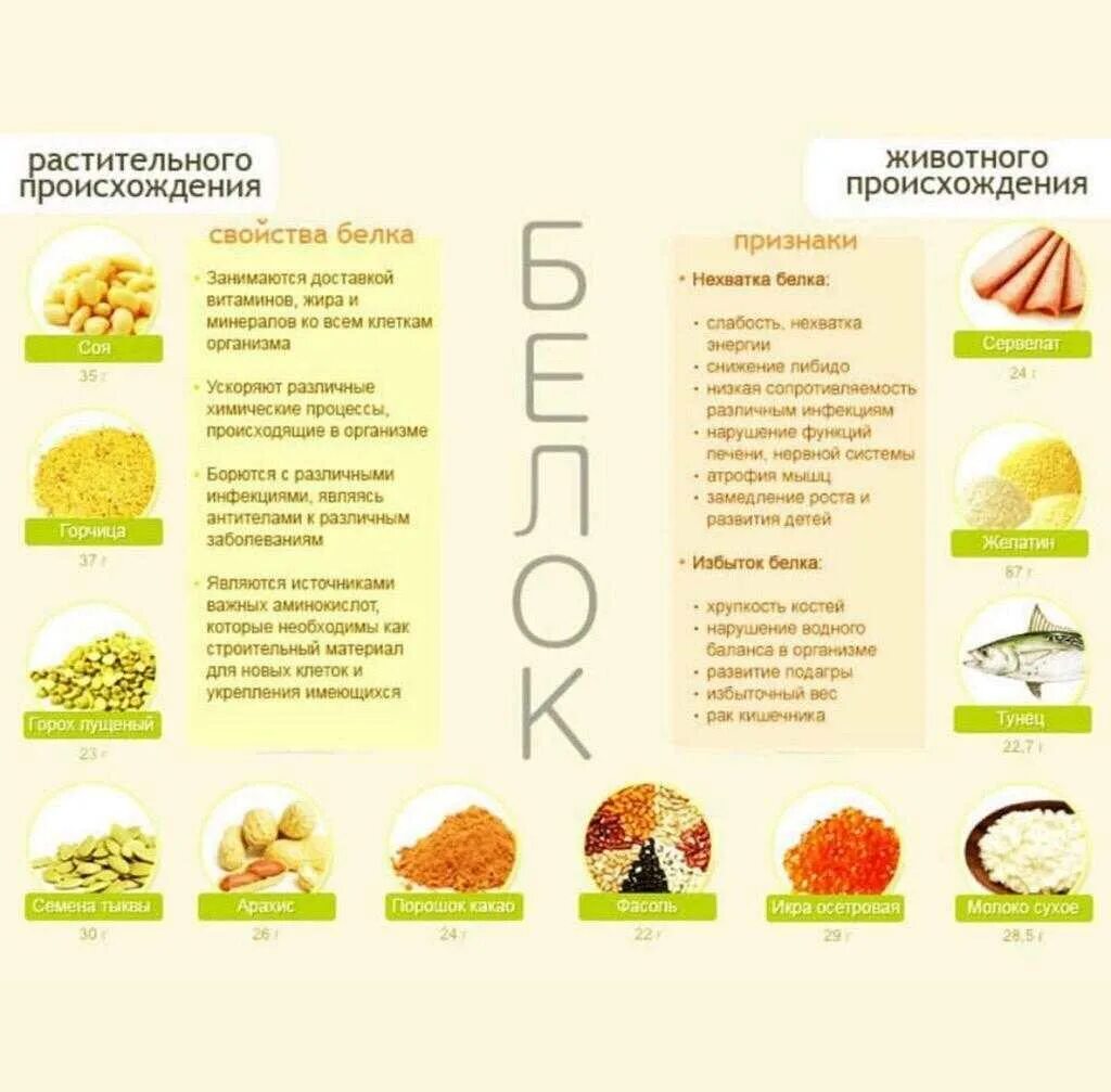 Продукты богатые полезным белком. Список продуктов содержащих белок. Таблица растительных продуктов с высоким содержанием белка. Продукты растительные содержащие много белка таблица. Продукты содержащие больше количество белка.