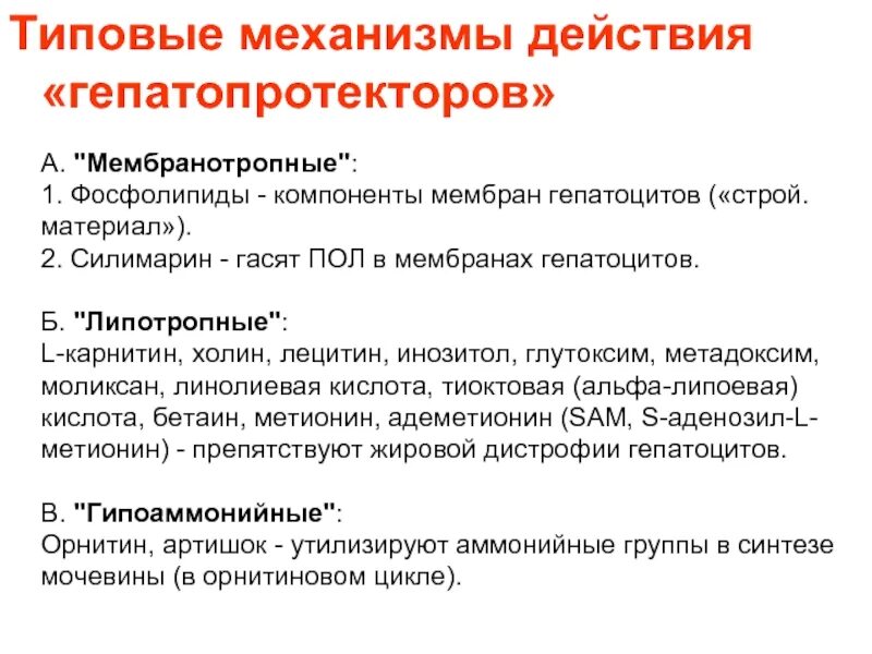 Гепатопротекторным действием можно отнести