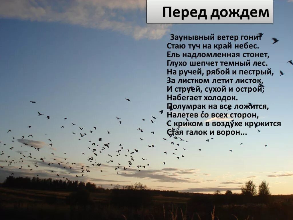 Встревоженные птицы с неумолкающим криком. Стих перед дождем Некрасов. Заунывный ветер гонит стаю туч на край небес. Стих заунывный ветер. Стихотворение Некрасова перед дождем.