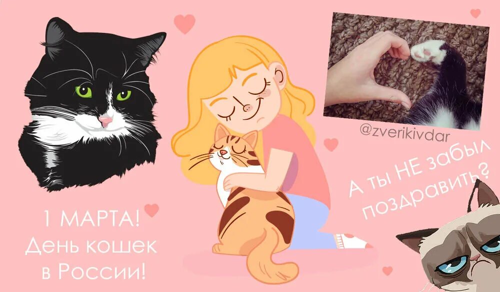 День кошек в россии 2024 год. Всемирный день кошек. День кошек в России.