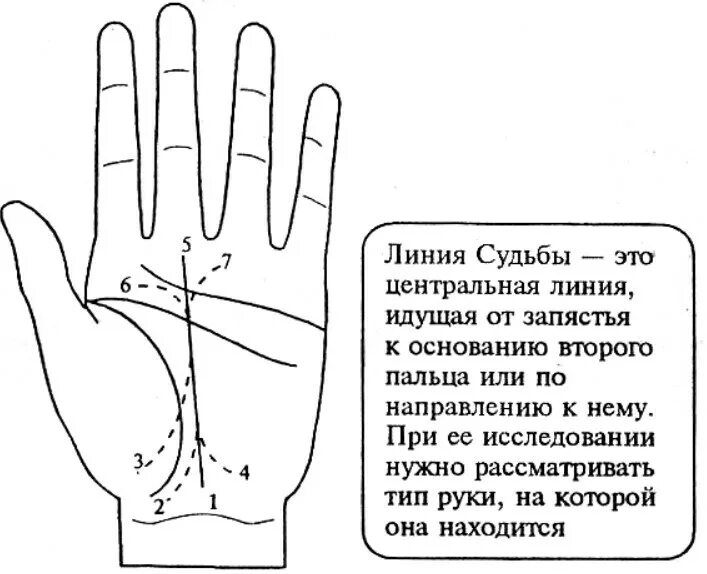 Line значение. Хиромантия линии сбоку ладони. Линия судьбы хиромантия расшифровка профессионала. Линия судьбы на руке хиромантия. Линия судьбы на ладони расшифровка.
