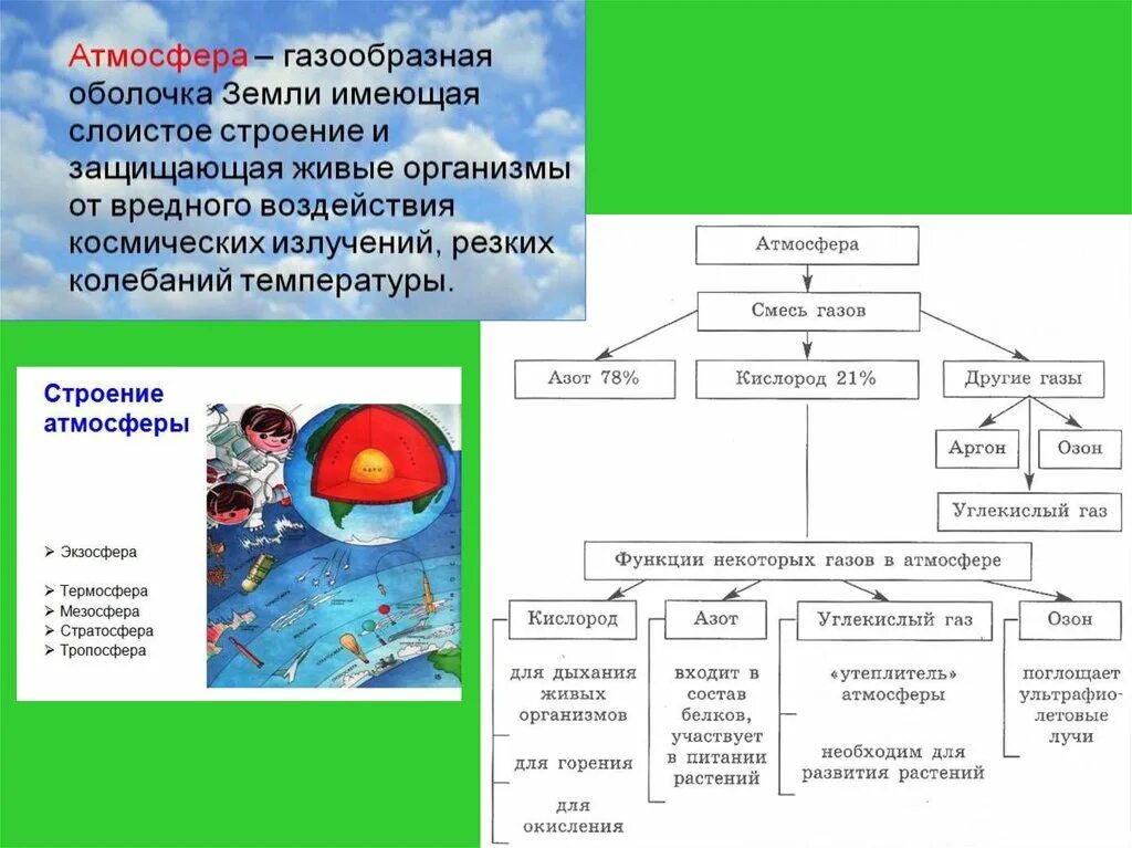 Биосфера ее структура и функции таблица. Биосфера состав и строение. Строение состав и функции биосферы. Биосфера и ее структура таблица.