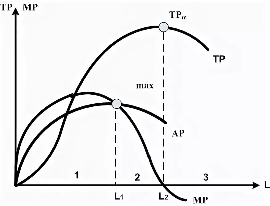 График mp