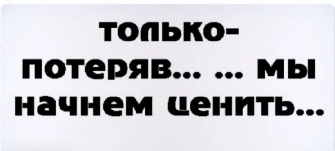 Потерялась красотка. Ищем старых или новых хозяев картинки. Я потерялась кошка. Только она потерялась. Катерина прикол.