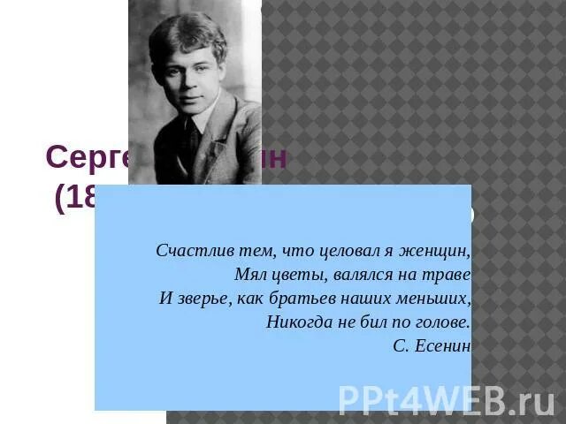 Братьев наших меньших никогда. И зверьё как братьев наших меньших никогда не бил по голове. Счастлив тем что целовал я женщин. Не соглашайся на меньшее цитата. И зверьё как братьев наших меньших никогда не бил по голове.