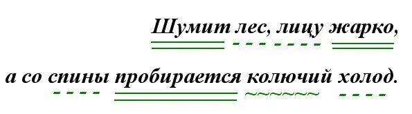 Шумит разбор. Шумит лес лицу жарко а со спины пробирается колючий холод. Шумит лес лицу жарко а со спины. Синтаксический разбор шумящая. Синтаксический разбор зашумел в лесу.