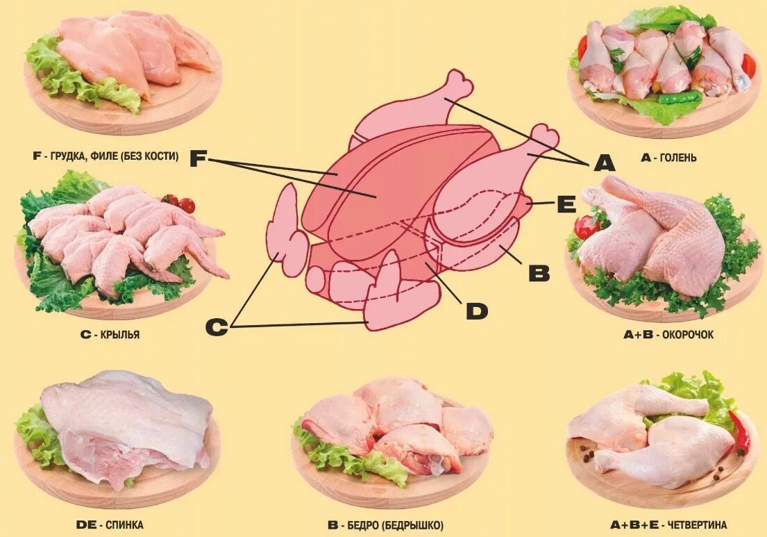 Какие части курицы лучше. Схема разделки сельскохозяйственной птицы. Схема разделки курицы. Схема разделывания туши курицы. Разделка тушки курицы схема.