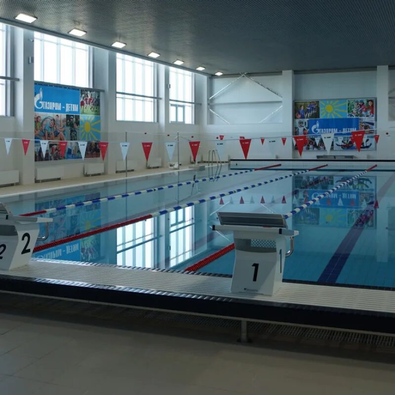 Бассейн дельфин бендеры. Алтайский край город славгород бассейн. Бассейн дельфин славгород. Бассейн славгород алтайский край. Бассейн дельфин славгород.