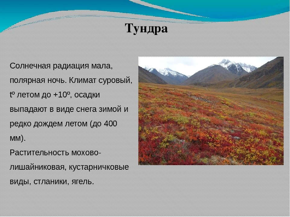 Природная зона тундра климат. Природная зона тундра таблица. Природная зона тундра таблица 4.