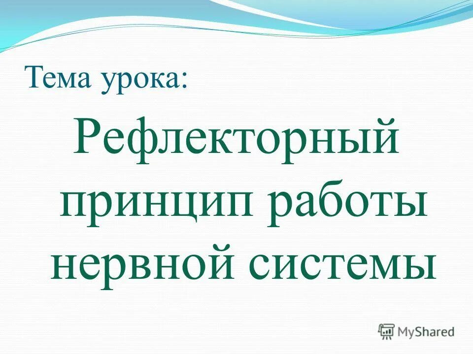 Урок рефлекс