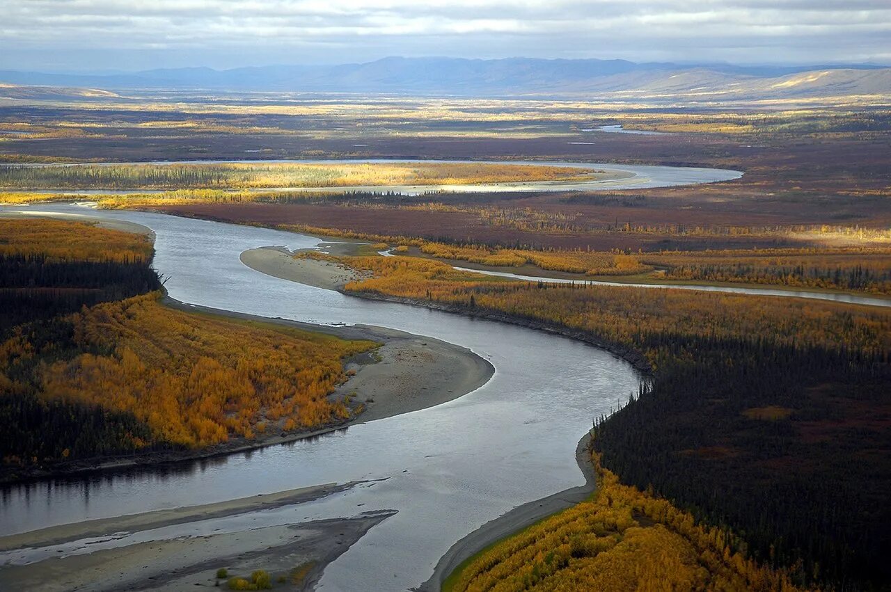 В какой океан впадает юкон. Река Коюкук Аляска. Река Алазея. Аляска нац заповедник Юкон-Чарли-Риверс. Кобук (река).