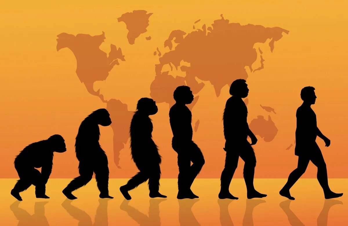 Жизни путем эволюции. Человек Эволюция и антропология. Эволюция Дарвина. Развитие человека. Ивилюция.