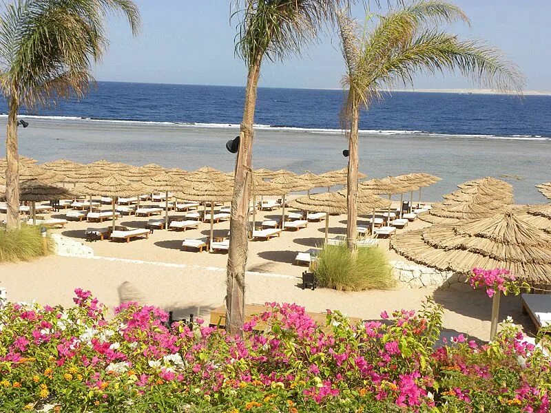 Cleopatra шарм эль шейх. Клеопатра лакшери резорт шарм-эль-шейх. cleopatra luxury 5 шарм-эль-шейх. cleopatra luxury resort sharm. cleopatra luxury resort sharm el sheikh 5.