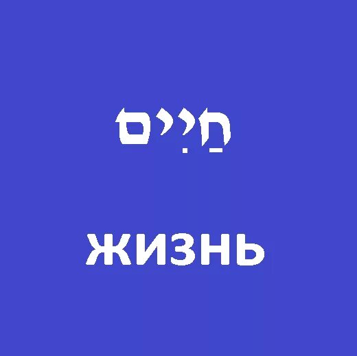 хаим на иврите перевод на русский. фраза на иврите наслаждаться жизнью. хаим на иврите перевод на русский. наслаждайся жизнью на иврите. хаим на иврите перевод на русский.