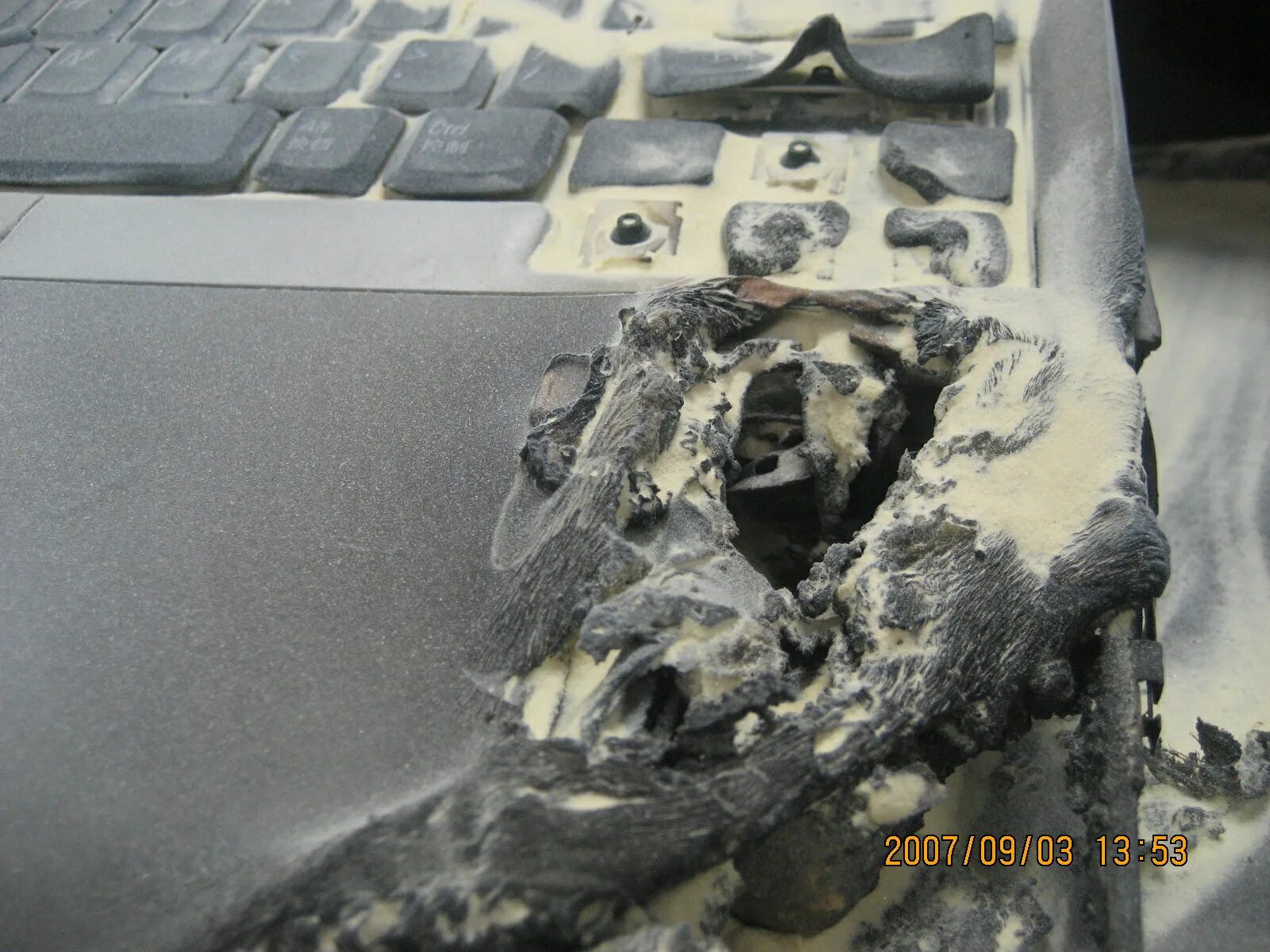 Разрушить компьютер. Пк взорвался. Обгоревший компьютер. Оверклокинг процессора. Может ли взорваться компьютер.