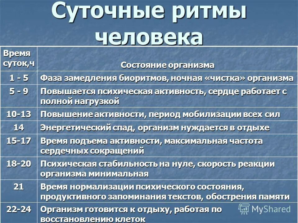 Период активности когда уровень физиологических функций высок. Циркадные ритмы у человека. Суточные ритмы человека. Циркадный режим. Суточные биологические ритмы.