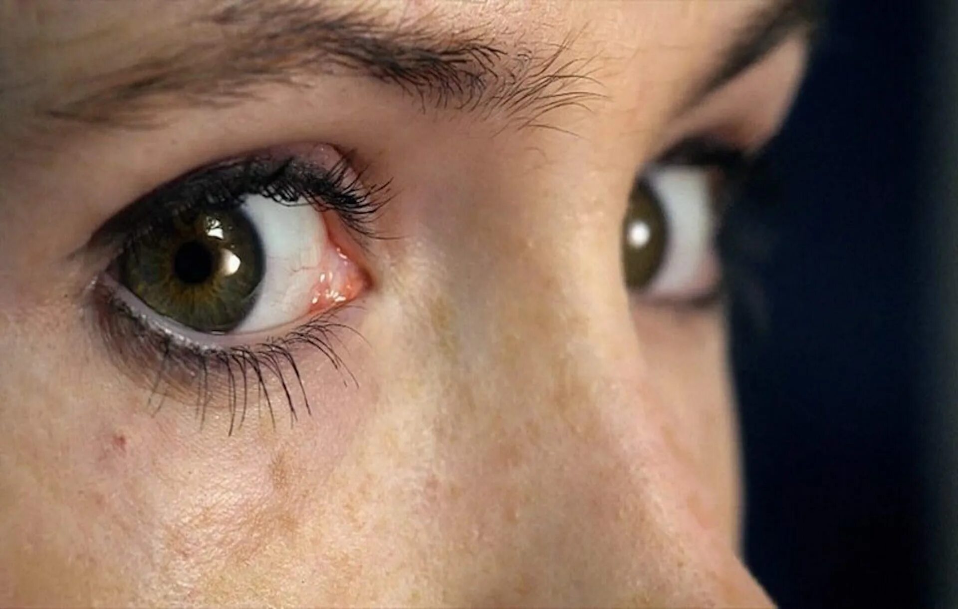 Со страхом в глазах. Со страхом в глазах. Со страхом в глазах. Со страхом в глазах. Кроткость и дьявол в глазах.