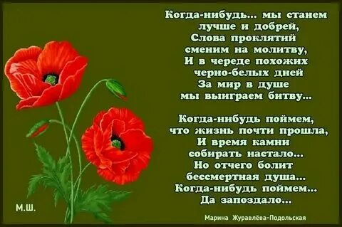 Когда нибудь мы будем лучше