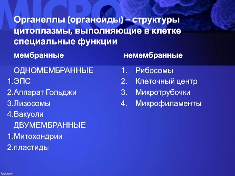 Строение специальных органелл. Аппарат Гольджи немембранные одномембранные двумембранные. Органеллы специального значения строение и функции. Одномембранные и двумембранные органоиды таблица. Лизосомы двумембранные