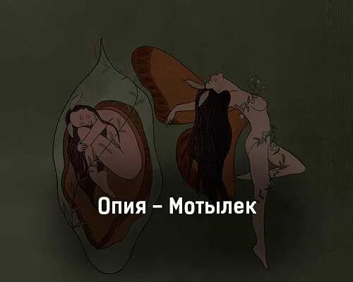 Мотыльки клип. Мотылек вступление. Твои руки опия. Пестрый мотылек слова. Мотылек песня маска 5