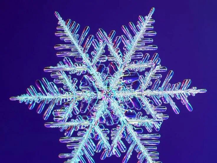 Snowflake 1