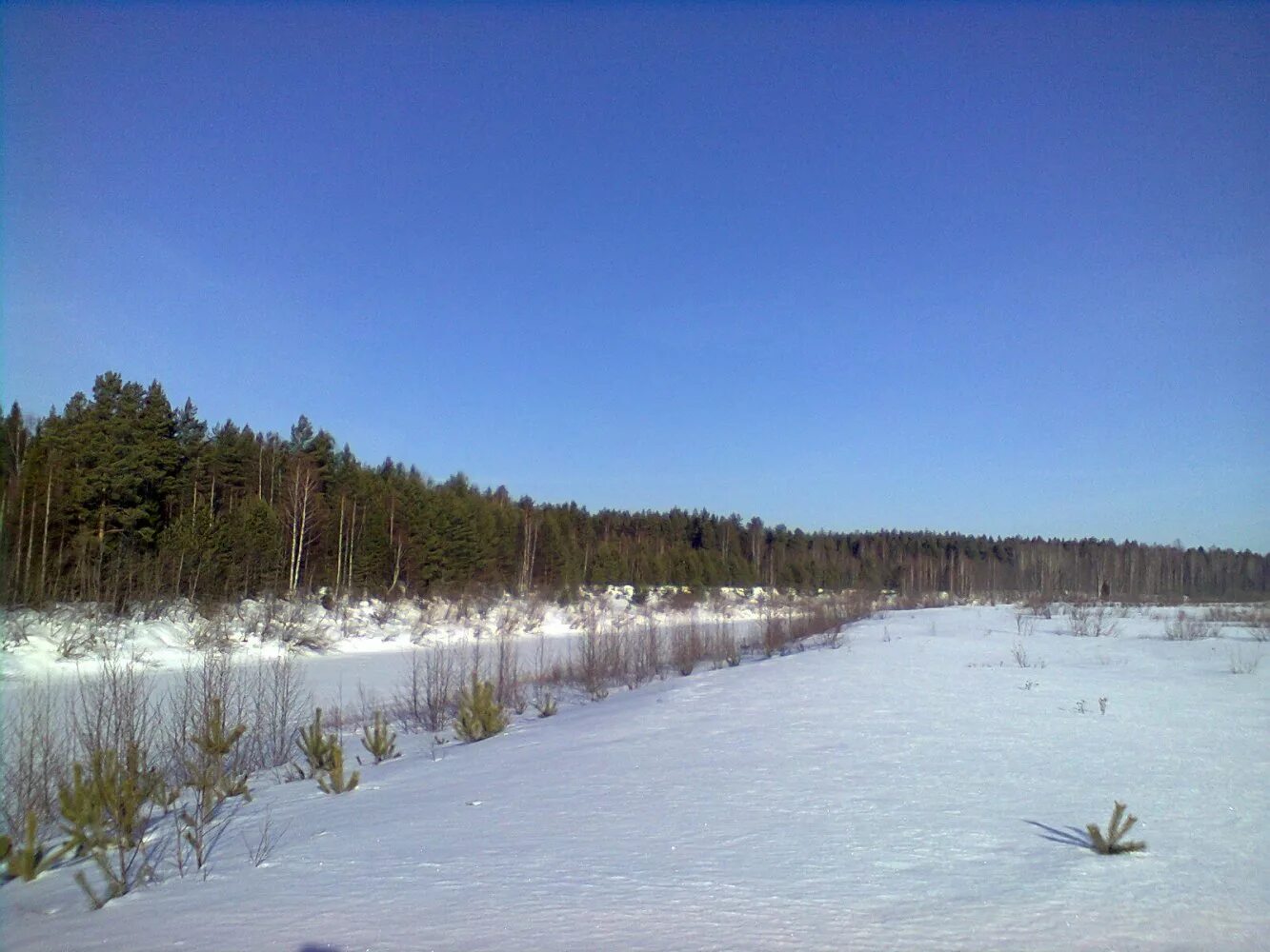 воробьёвица вохомский район. воробьевица костромской. деревня воробьёвица костромская область. воробьевица костромской. воробьевица костромской.