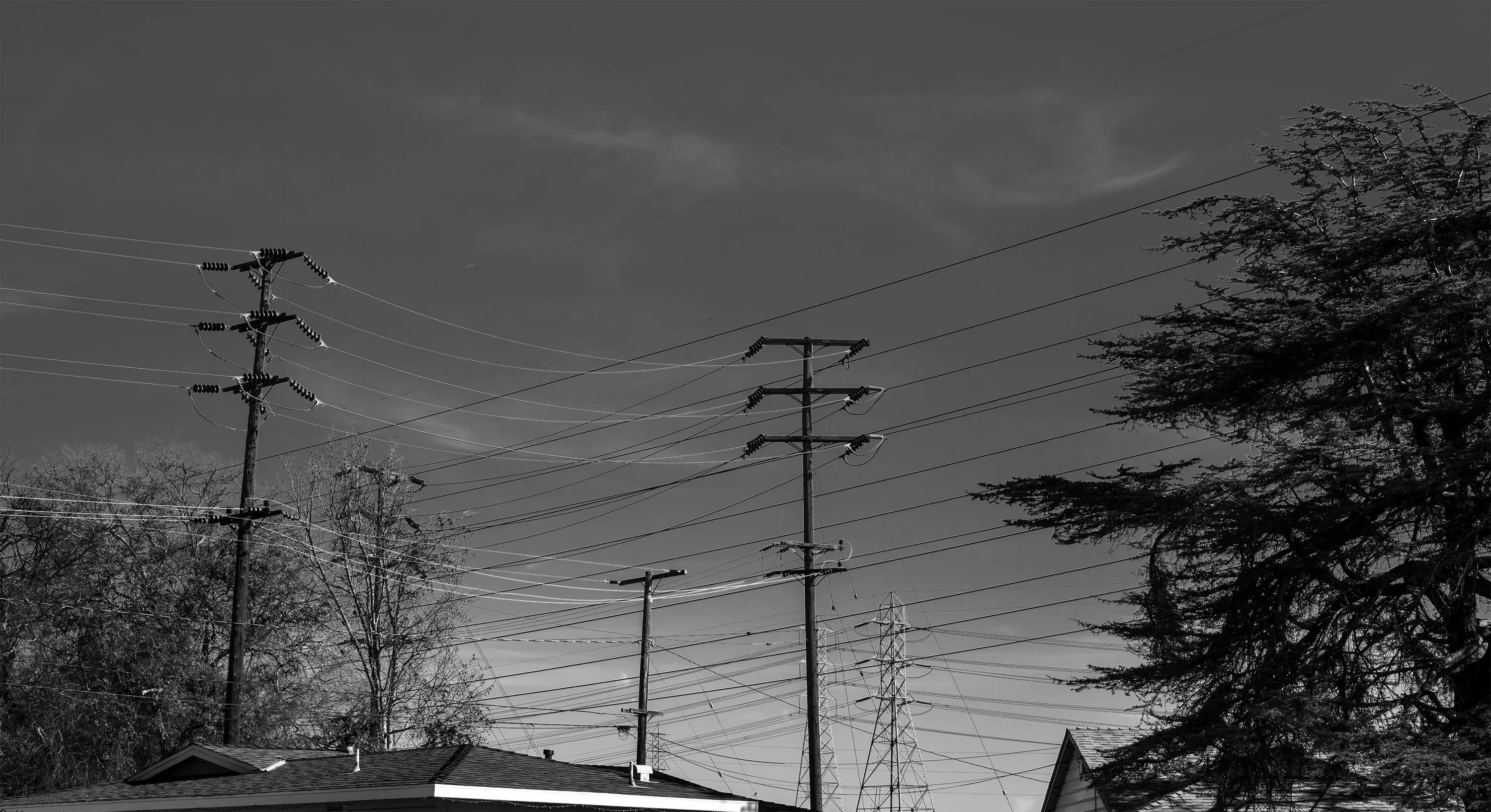 Туча проводов. Снег на проводах черно-белое. Провода над деревьями вечером. Черная погода.