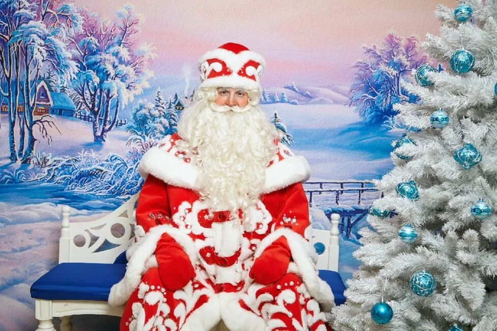 18 ноября дед мороз. Дед Мороз и елка. Дедушка Мороз. Новый год дед Мороз. Русский дед Мороз.