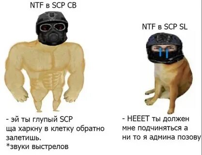 Сервера scp sl