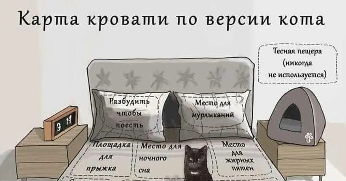 Спать хочешь нельзя нельзя люди