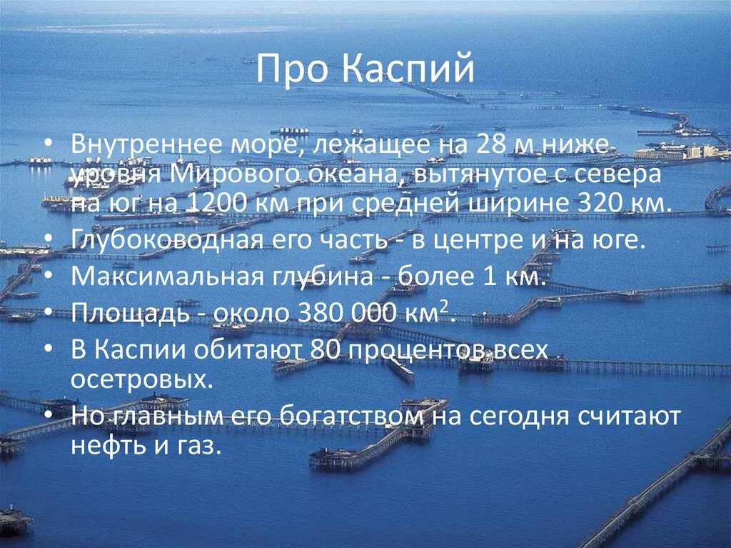 Высказывания о каспийском море. Каспийское море природа. Высказывания о каспийском море. Ласковое каспийское море. Высказывания о каспийском море.