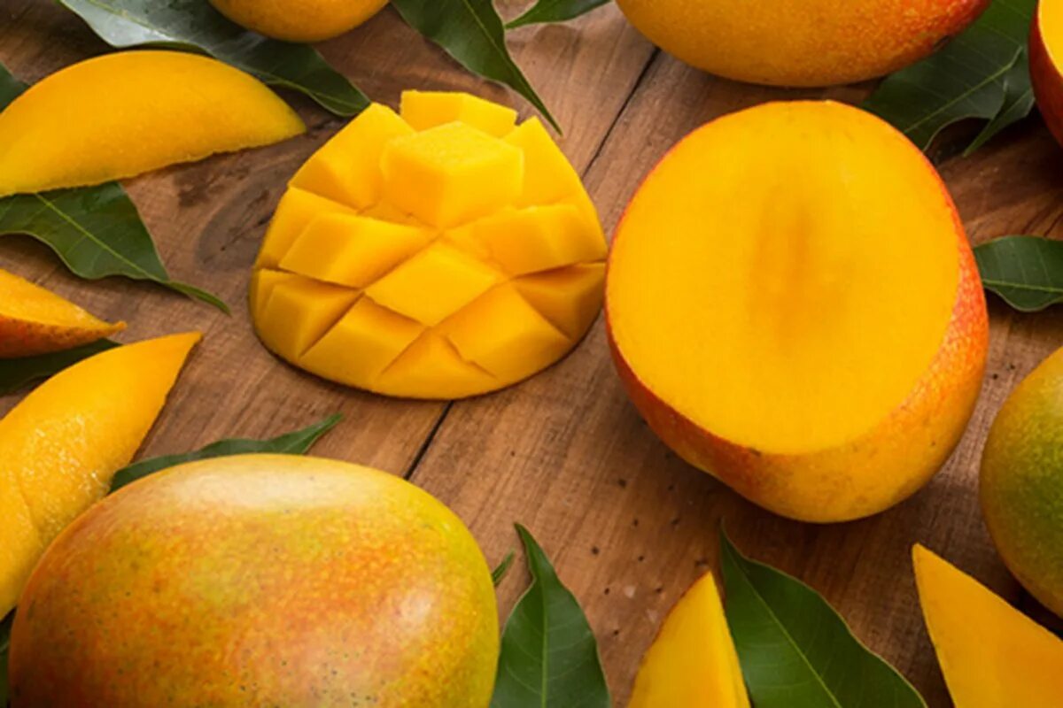 манго сорт альфонсо. манго на гоа фото. Mango mango phonk. доминиканские сорта манго. дерево манго дома.