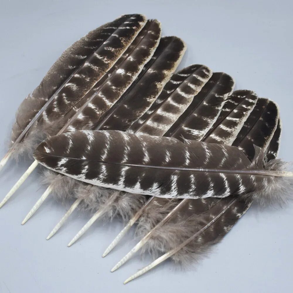 Feather 6