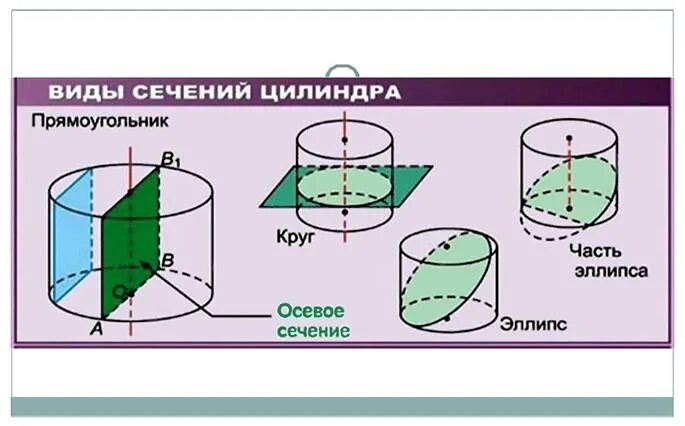 Сечение пересекающее ось цилиндра. Сечения прямого кругового цилиндра. виды сечений цилиндра. круговое сечение цилиндра. осевое сечение прямого кругового цилиндра.