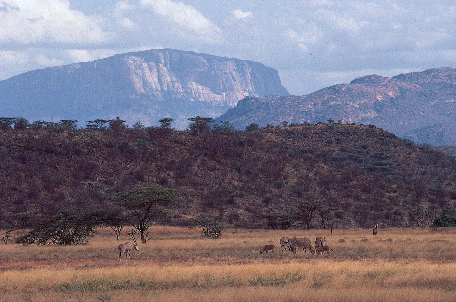 Восточное плоскогорье африки. Великая рифтовая Долина Кения. Восточно-Африканская рифтовая Долина Кения. Найроби рифтовая Долина. Великая рифтовая Долина в Африке.
