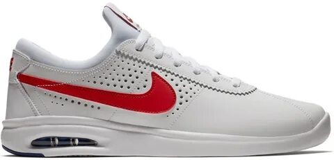 Nike sb max