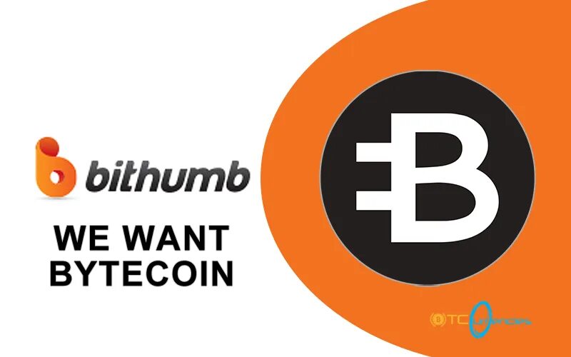 Bithub. Bithub