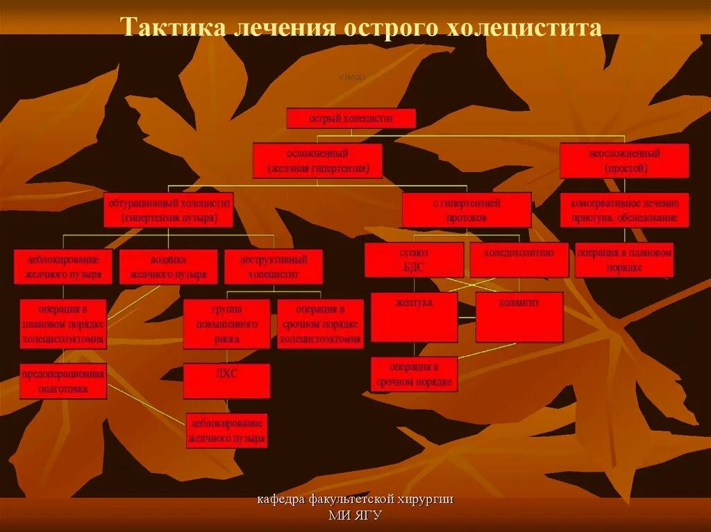 Тактика при холецистите. Тактика лечения острого холецистита. острый холецистит тактика. тактика ведения больных с острым холециститом. острый холецистит лечебная тактика.