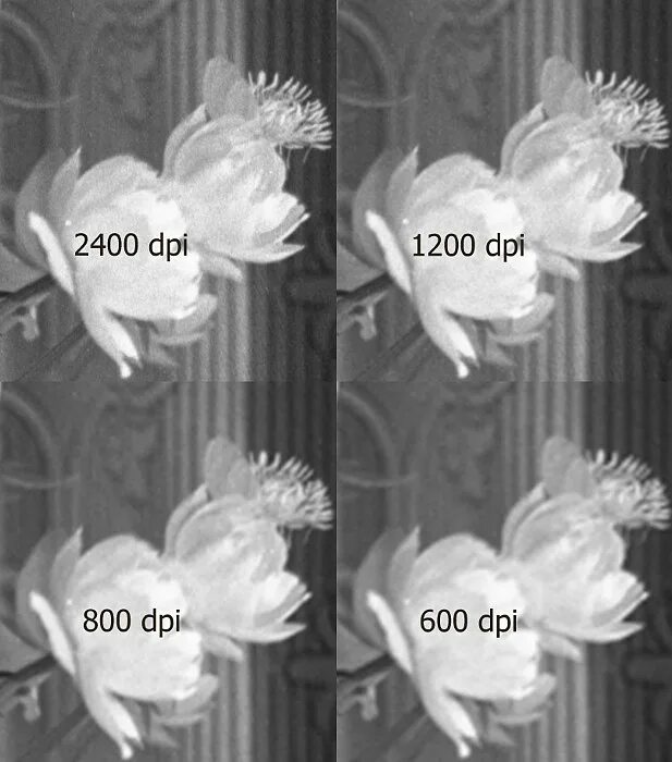 Качество 600 на 600. Печать 600 dpi. 600 dpi. Качество 600 на 600. 600 dpi.
