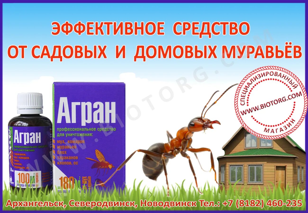 Средство от муравьёв. Средство от муравьев на участке. Средства от муравьёв на даче. Лекарство от муравьев в доме.